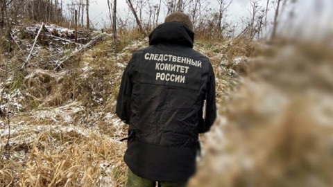 Пропавшую под Ярославлем женщину нашли мертвой в реке