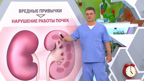 Доктор Мясников рассказал, какие лекарства особенно опасны для почек