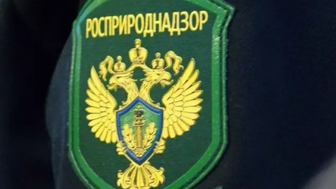 В Чебоксарах выявляют причину появления розовой воды