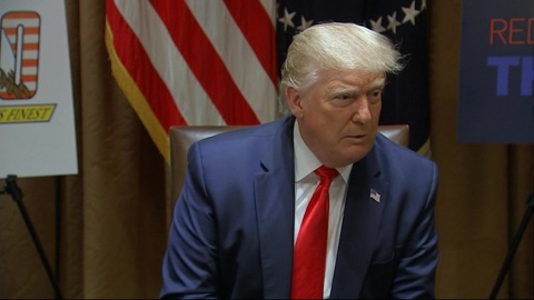 Трамп: растерянность Байдена приведет Америку в ад