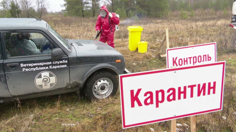 Учения ветеринарных специалистов прошли в Карелии