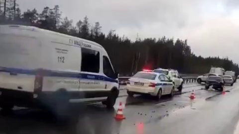 Задержаны злоумышленники, бросившие тело убитого на трассе под Питером
