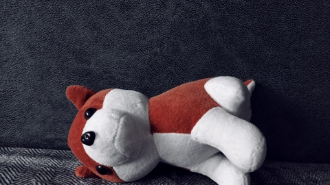 В Самаре была найдена мертвой 4-летняя девочка