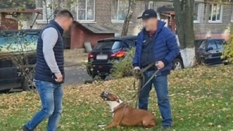 Житель Вологды натравил собаку на полицейских