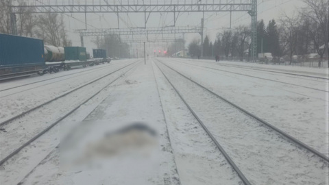 Пенсионерка погибла под колесами поезда, поскользнувшись на путях