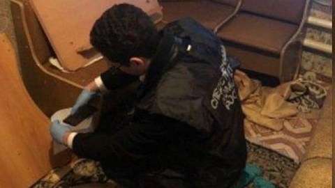 Мужчина зарубил спящую тещу, ее приятеля и ушел спать