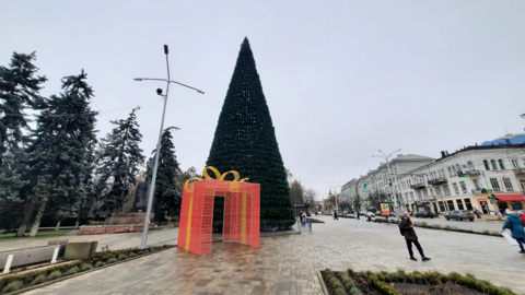 В Ростове установили и украсили главную новогоднюю елку