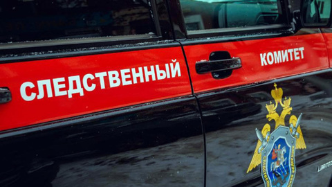 Труп прораба со связанными руками нашли в Подмосковье
