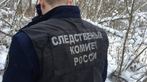 Жительницу Тувы подозревают в убийстве шестимесячного сына подруги
