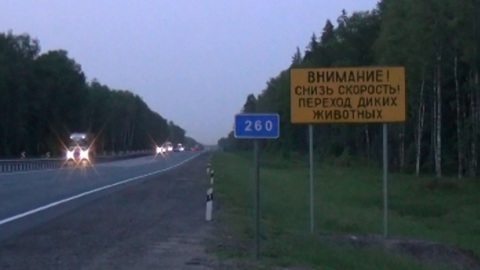 На смоленской трассе М-1 появится первый экодук для животных