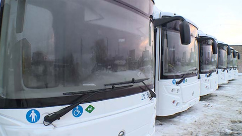 В Великом Новгороде на маршруты выйдут новые автобусы