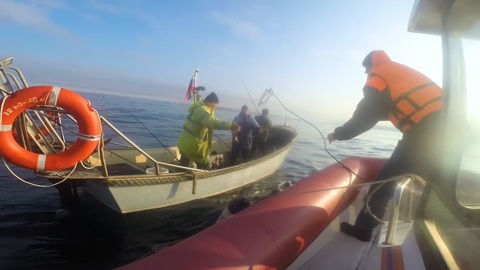 В Севастополе в море проверяют рыбаков