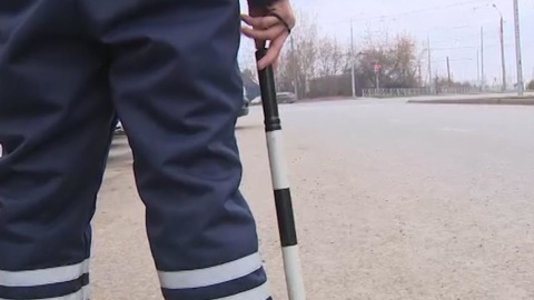 Найден водитель, сбивший детей на "зебре"