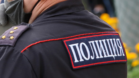 Полиция Урала проверит информацию о насилии над дельфинами