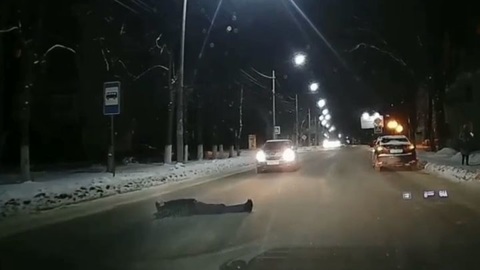 В Новомосковске пьяный экстремал лег на дорогу перед машинами