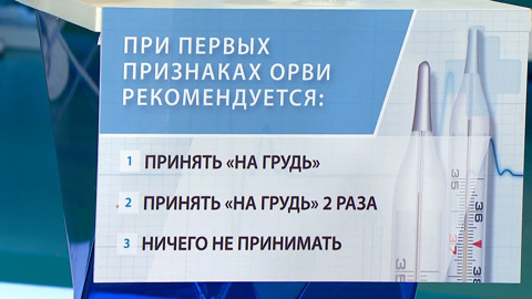 Доктор Мясников объяснил, почему алкоголь не спасет от простуды