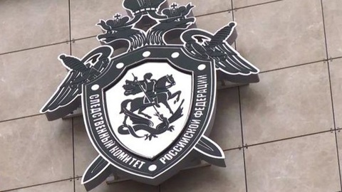 В Туле подростки угнали машину и ограбили магазин