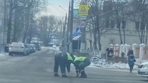 Сотрудники ДПС перекрыли дорогу, чтобы собрать конфеты школьника