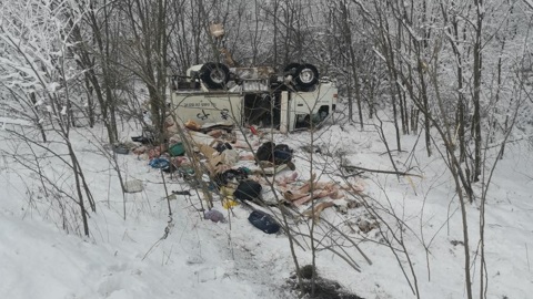 На Дону автомобиль вылетел в кювет