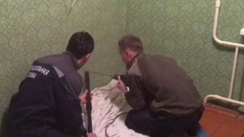 Кошку, застрявшую в вентиляции, спасли в Смоленске