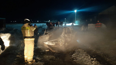 Водитель под Омском сжег машину на глазах у инспекторов