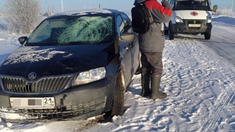 В Чувашии водитель насмерть сбил пешехода и скрылся