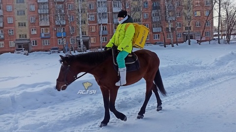 Под Новосибирском курьер развозит заказы на лошади