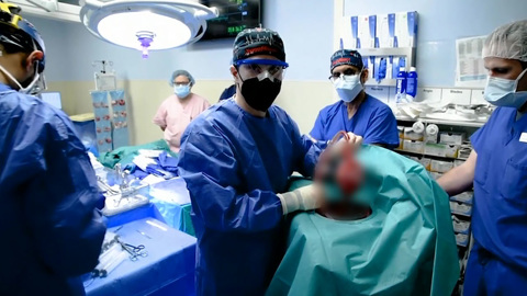 В пересаженном человеку сердце свиньи нашли цитомегаловирус