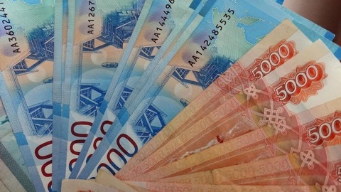 На Ямале директор фонда помощи животным украл более миллиона
