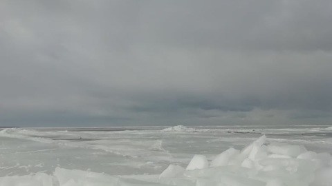 В заливе Ростовской области из-за льда погибла рыба