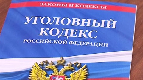 Пензенская полиция возбудила дело после издевательств над собакой
