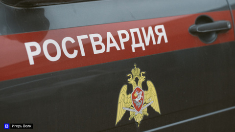 В Петербурге росгвардейцы спасли похищенную мигрантами девушку