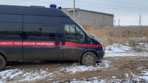 Стая бродячих собак насмерть загрызла мужчину под Астраханью
