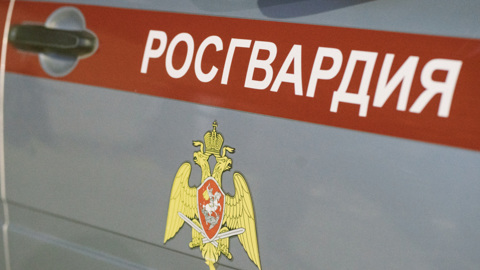 Жительница Красноярска пришла с ружьем в детский сад и выстрелила в стену