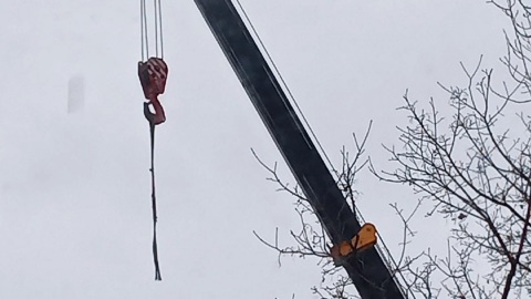Два человека погибли во время обрезки деревьев в Старом Осколе