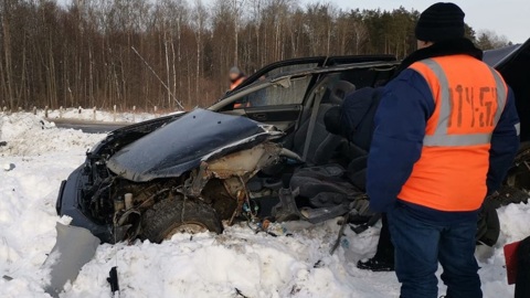 Локомотив убил спешившего водителя в Брянской области