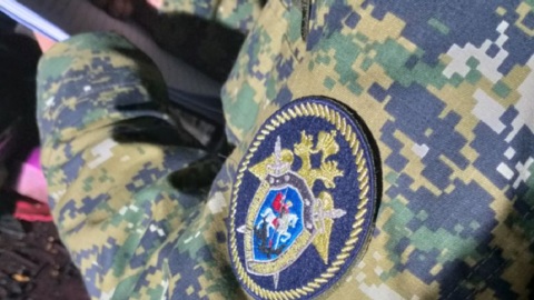 Женщина нашла человеческую голову во время прогулки с собакой