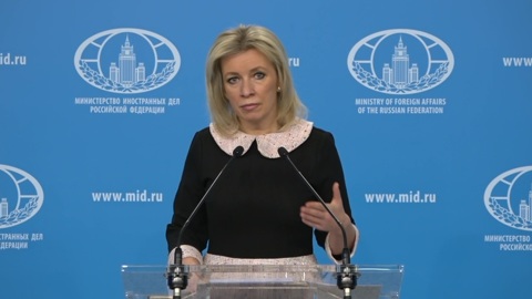 Захарова отреагировала на заявления "экспертов" изображениями зомби