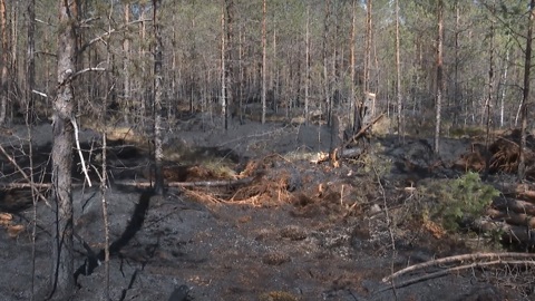 В Вологодской области готовятся к пожароопасному сезону