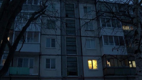 Из 21 кошки суд разрешил женщине оставить в квартире лишь двух