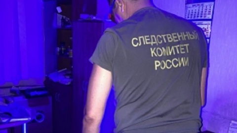 Липчанина будут судить за смертельное избиение подруги