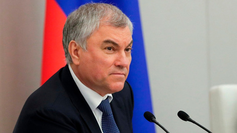 Володин: депутаты могут сами публиковать декларации с личными данными