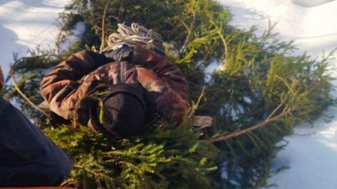 В Ивановской области спасли травмированного лыжника