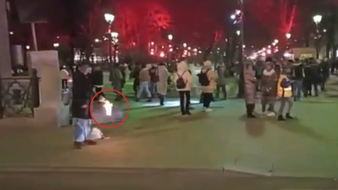 Кинувшая коктейль Молотова в полицейских в Москве признала вину
