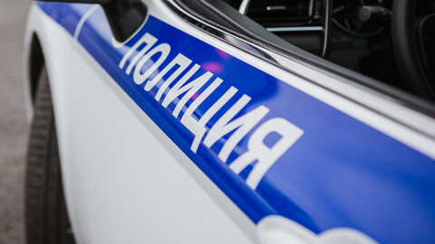 Вор устроил перестрелку с полицейскими в Ленобласти