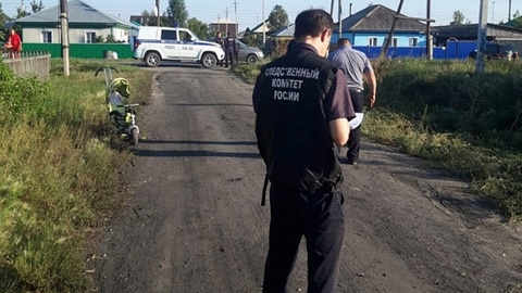 В Новосибирской области осудили тракториста за смерть 3-летнего ребенка
