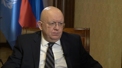 Василий Небензя и Дай Бин выступили против Кристиана Шмидта