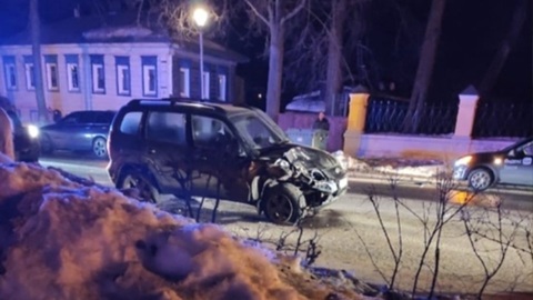 Виновника аварии с конной повозкой в Суздале уволили из полиции