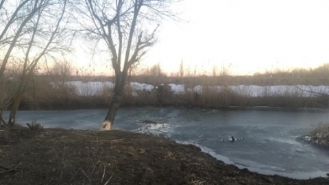 На Дону две девочки провалились под лед и утонули