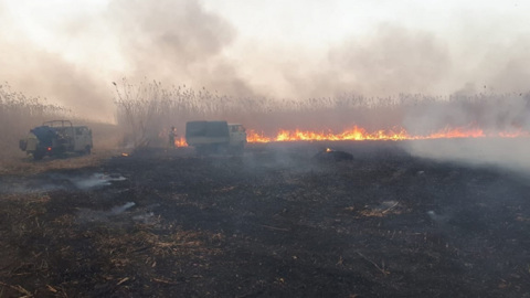 В Астраханском заповеднике локализовали возгорание на 2,2 тыс га